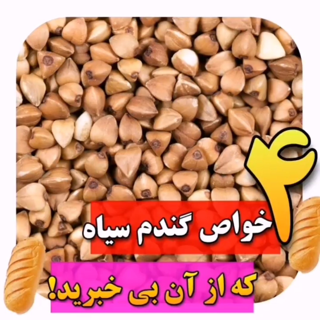 4 خواص باکویت (گندم سیاه)